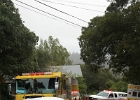 IMG 0095