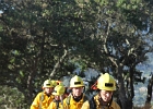 IMG 3085