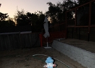 IMG 3365