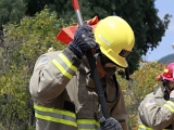  MG 8753