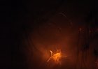 IMG 0027