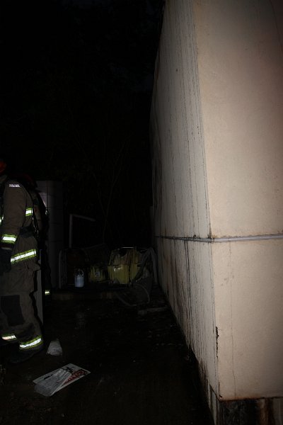 IMG 0011