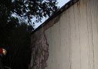 IMG_0039.JPG