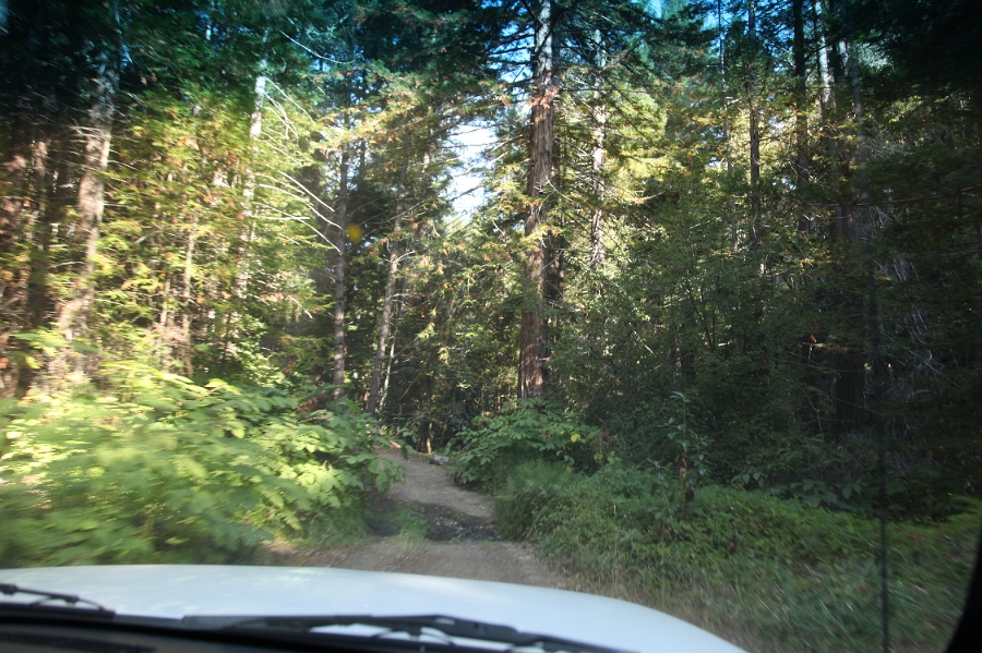 IMG 0014
