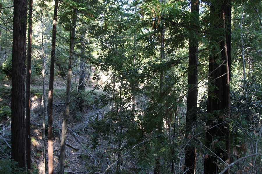 IMG 0017