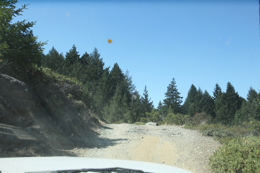 IMG 0083