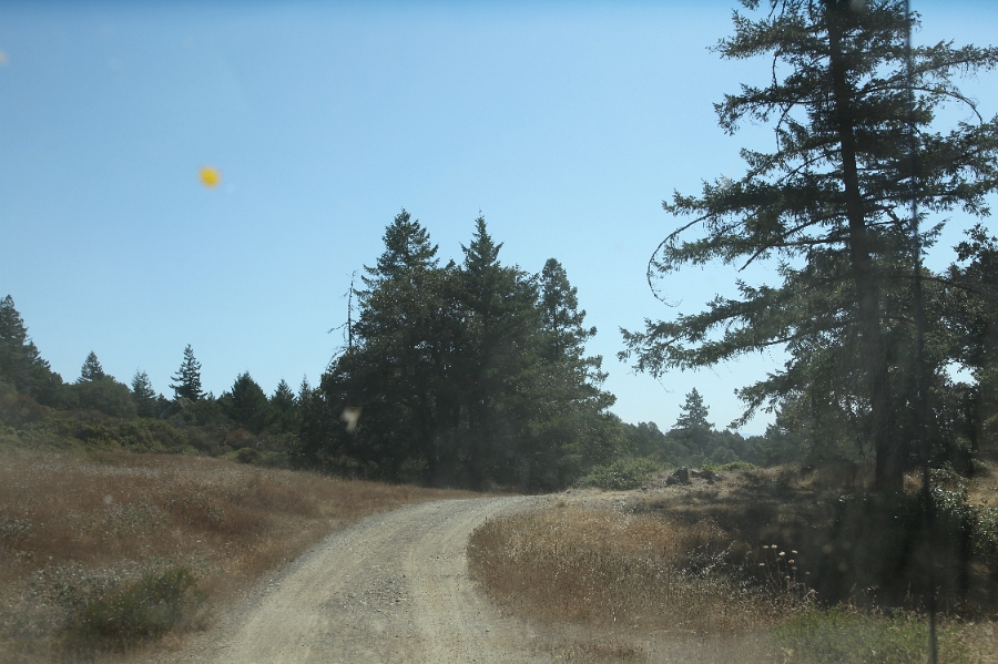IMG 0087