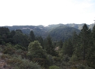 IMG_0003.JPG