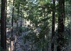 IMG_0017.JPG