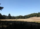 IMG_0085.JPG