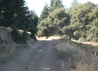 IMG_0086.JPG