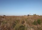 IMG_0021.JPG
