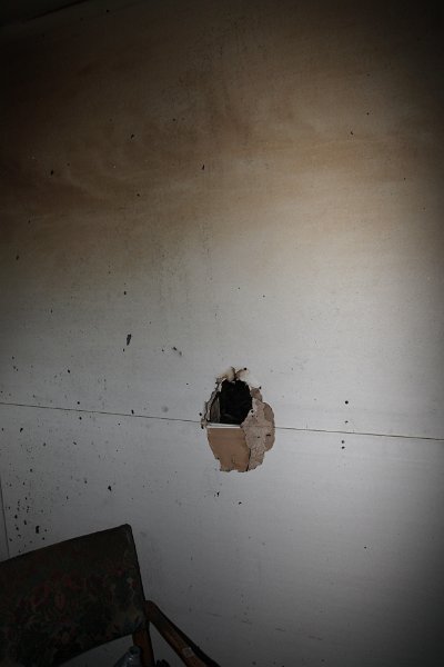 IMG 0459