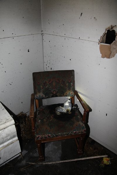 IMG 0479