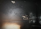 IMG_0375.JPG