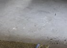 IMG_0068.JPG