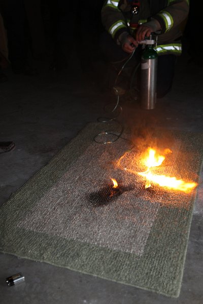 IMG 0050