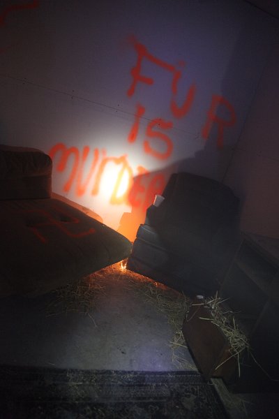 IMG 0246