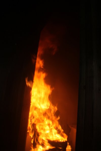 IMG 0348