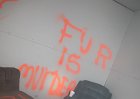 IMG_0245.JPG