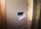 IMG_0325.JPG