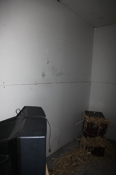 IMG 0151