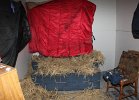 IMG_0140.JPG
