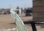 IMG_0322.JPG
