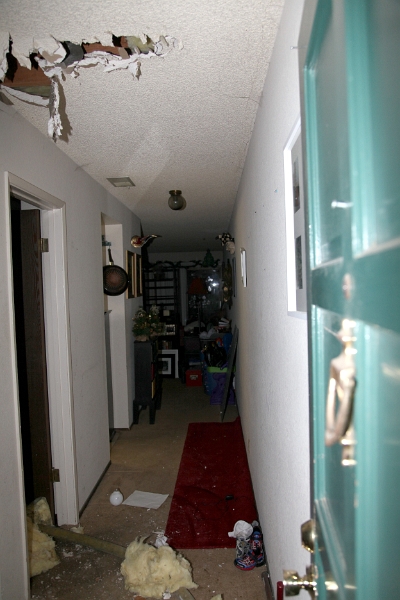 IMG 0004