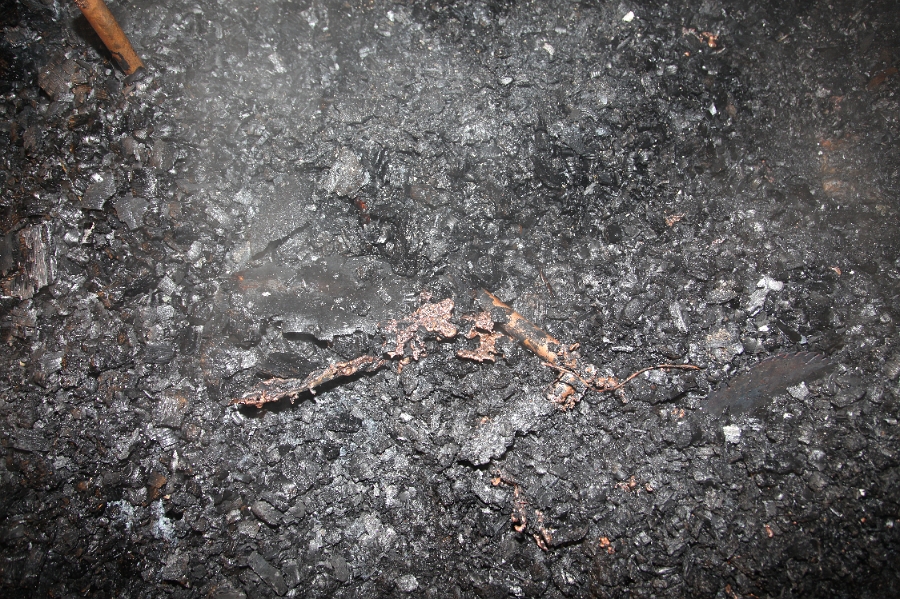 IMG 0161