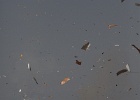 IMG_0431.JPG