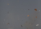 IMG_0433.JPG