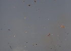 IMG_0435.JPG