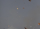 IMG_0438.JPG