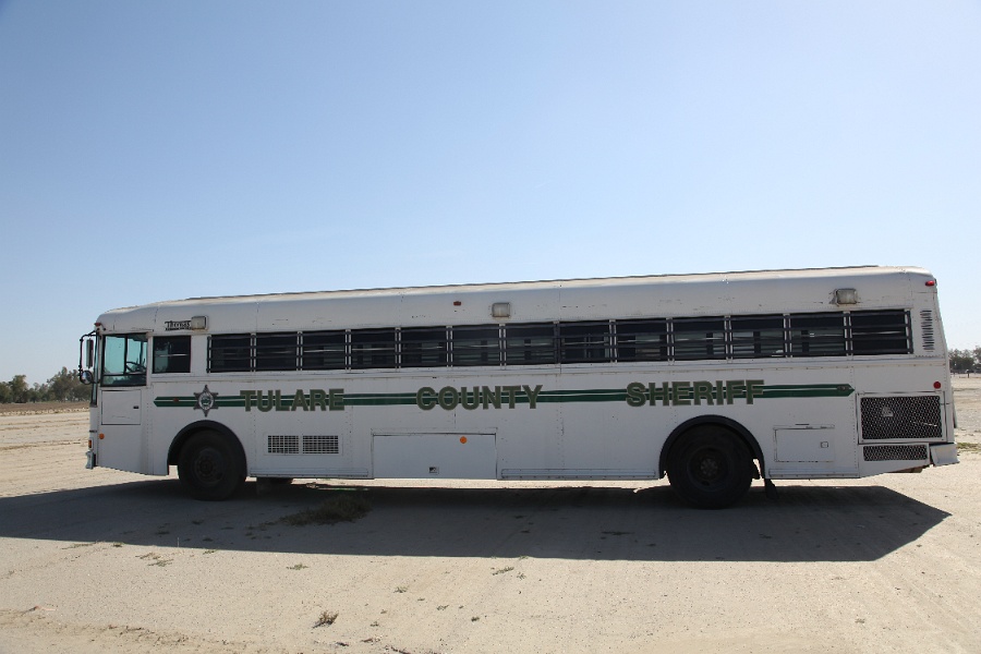 IMG 0042