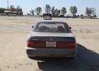 IMG_0062.JPG
