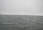 DSCN0420.JPG