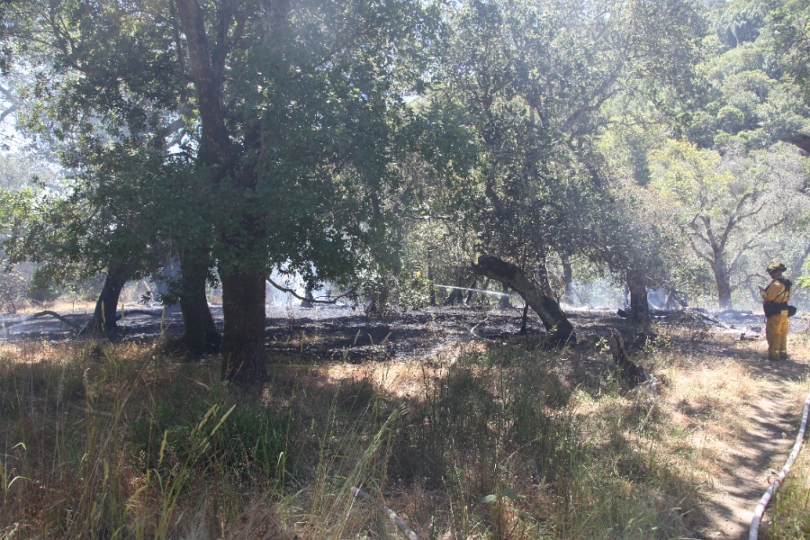 IMG 0004