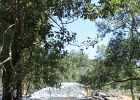 IMG_0015.JPG