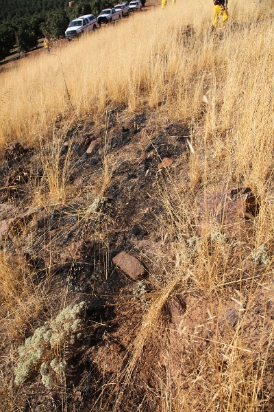 IMG 0017