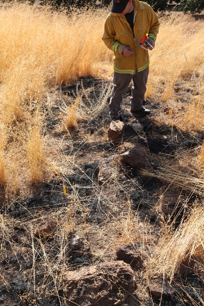 IMG 0070