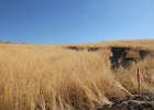 IMG_0005.JPG