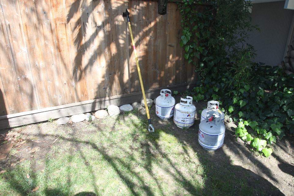 IMG 0009