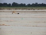 IMG 0283