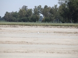 IMG 0419