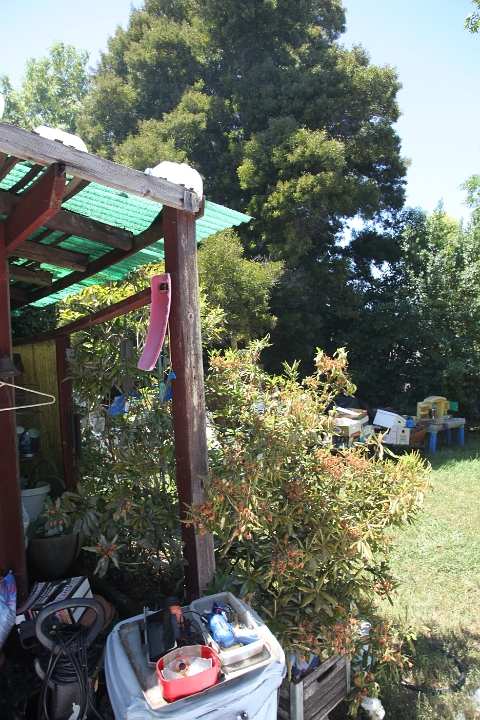 IMG 0133