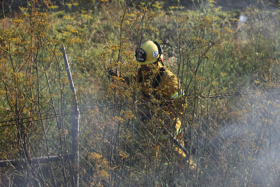 IMG 0002