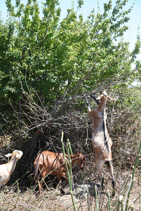IMG 0028