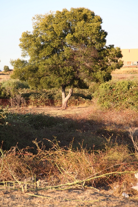 IMG 0015