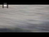 MVI 0021